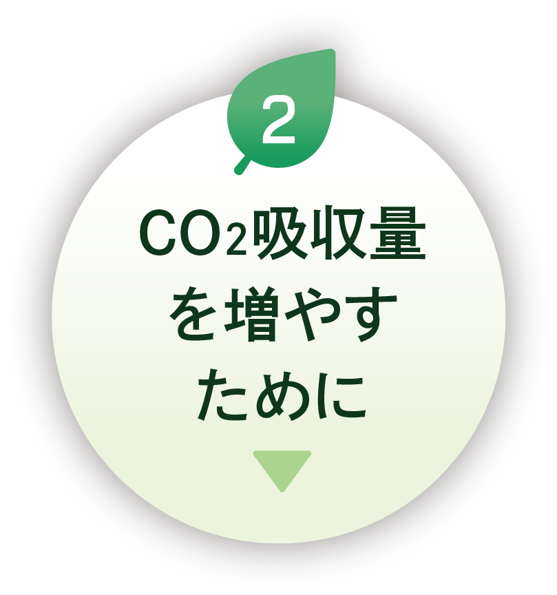 CO₂吸収量を増やすために